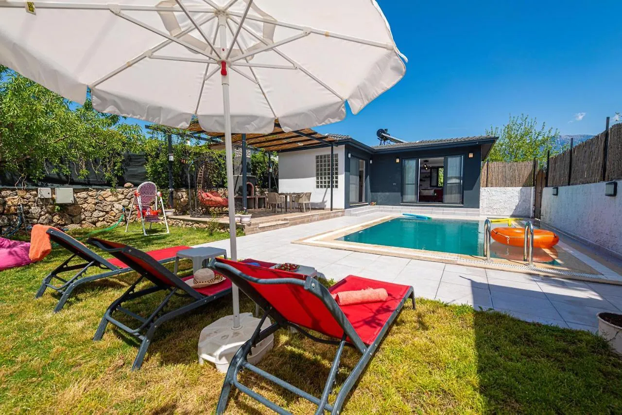 Villa Murphy Fethiye 0*,